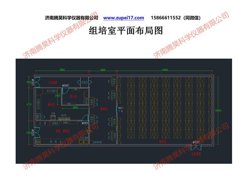 昆明人参果组培室建设方案