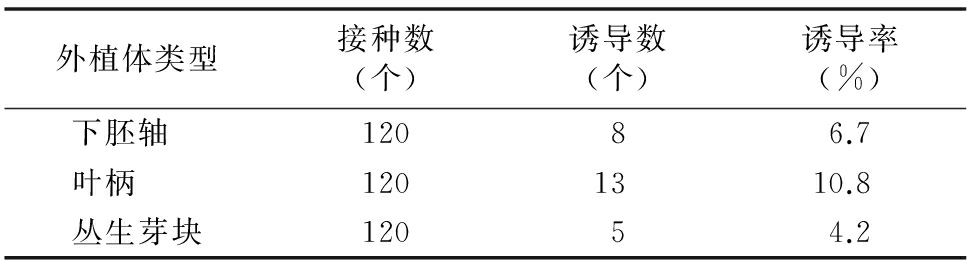 甜菜雄性不育系高效组培再生体系的建立