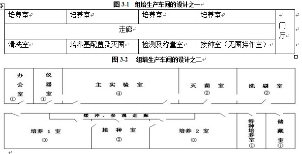 组培室设计基本规则