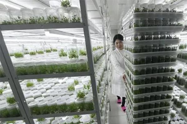 植物组培培养室基本原理