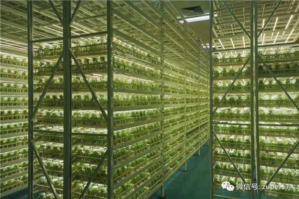组培仪器设备