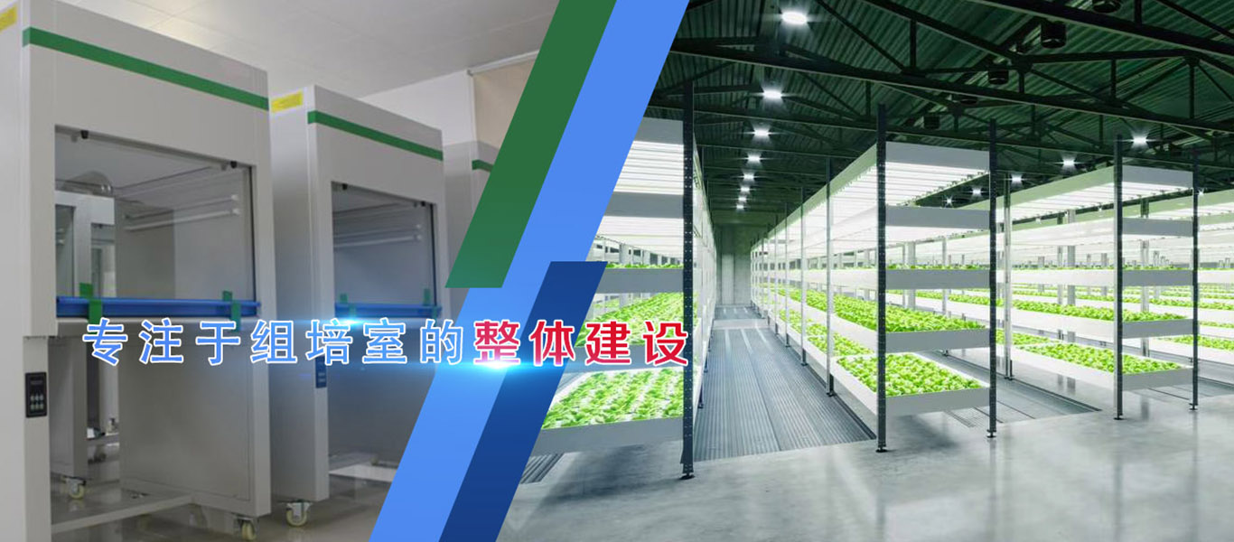 组培、组培架