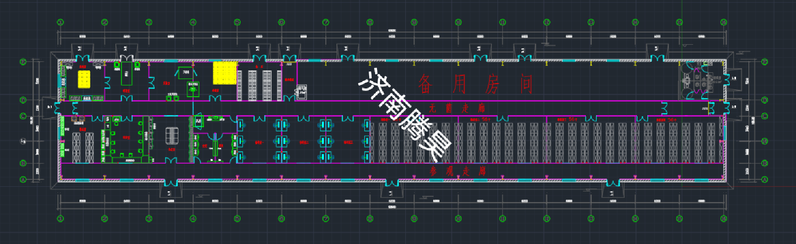 新疆喀什 800㎡ 沙棘组培室