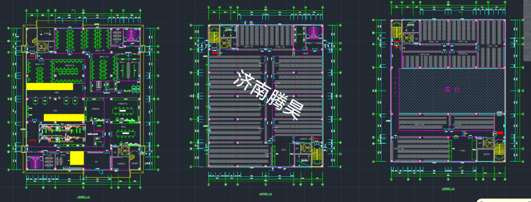 山东东营 5000㎡ 蝴蝶兰组培室
