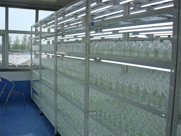 组培室建设中为什要放置高效节能组培架
