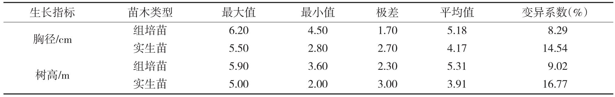 大花序桉组培苗15个月龄幼林生长