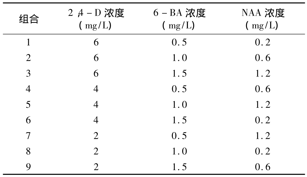 柳枝稷种子组培快繁技术