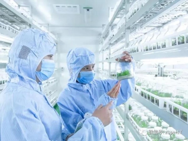 组培室建设之前应该做哪些准备？